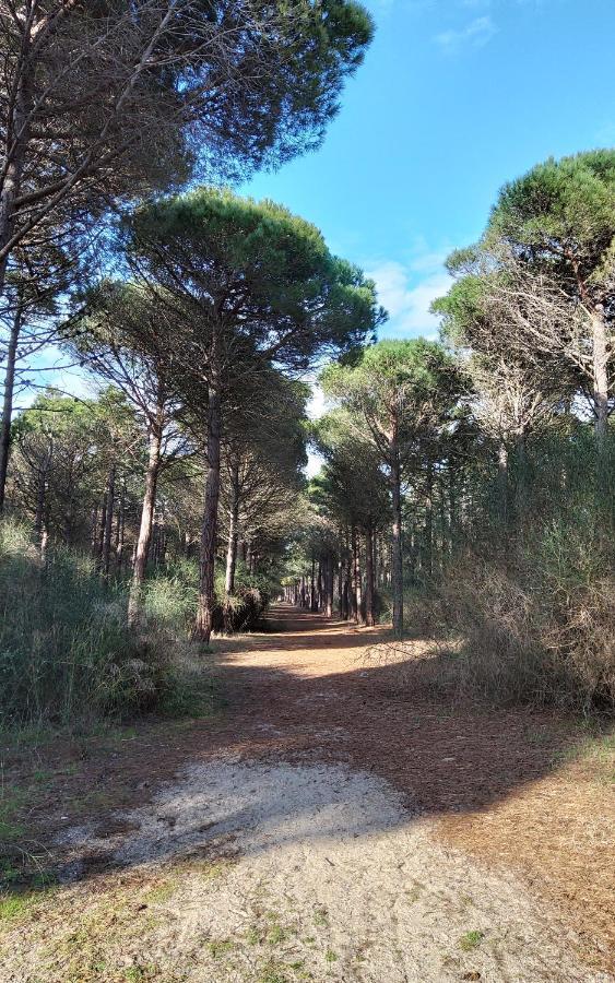 La Catalane - Les Jardins Du Rivage - Wifi- Piscine Villa Le Barcarès Buitenkant foto